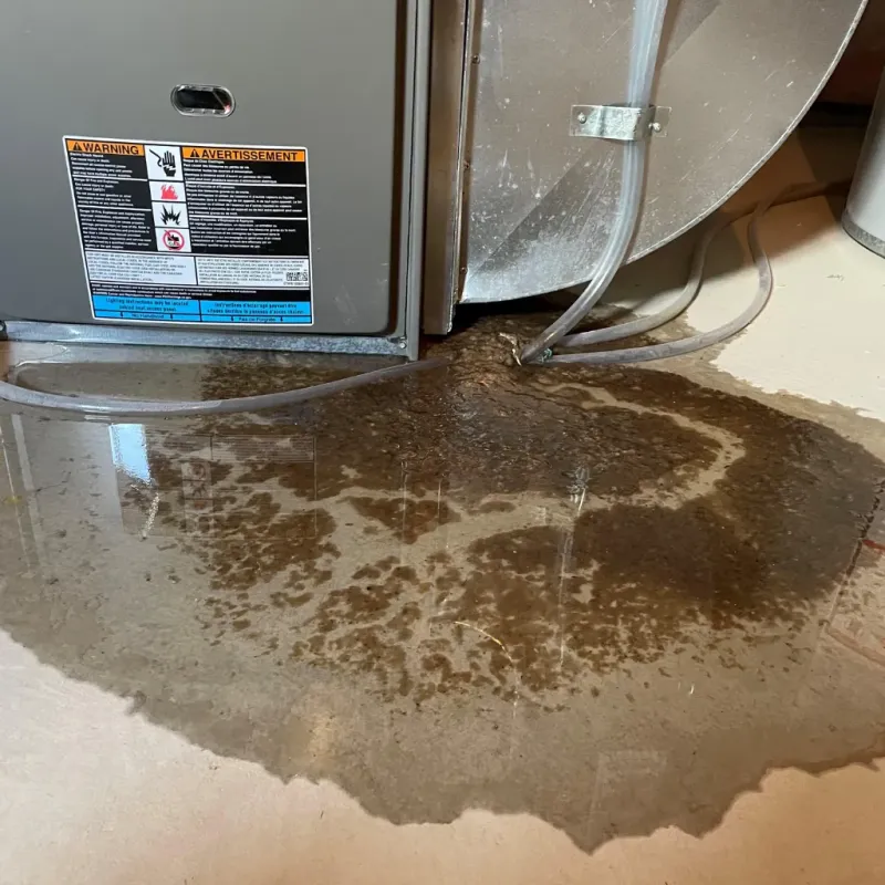 Appliance Leak Cleanup in Halifax, NC